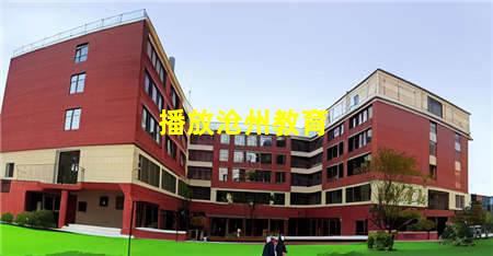 河北沧州学校今日头条视频(今日头条沧州一中)(图3) 播放沧州教育