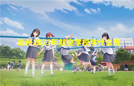 沧州2023年航空学校学什么专业升学容易(沧州航空职业技术学院)(图1) 沧州2023年航空学校学什么专