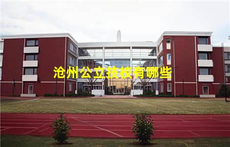 沧州公立技校有哪些(沧州公立技校有哪些学校)(图1) 沧州公立技校有哪些